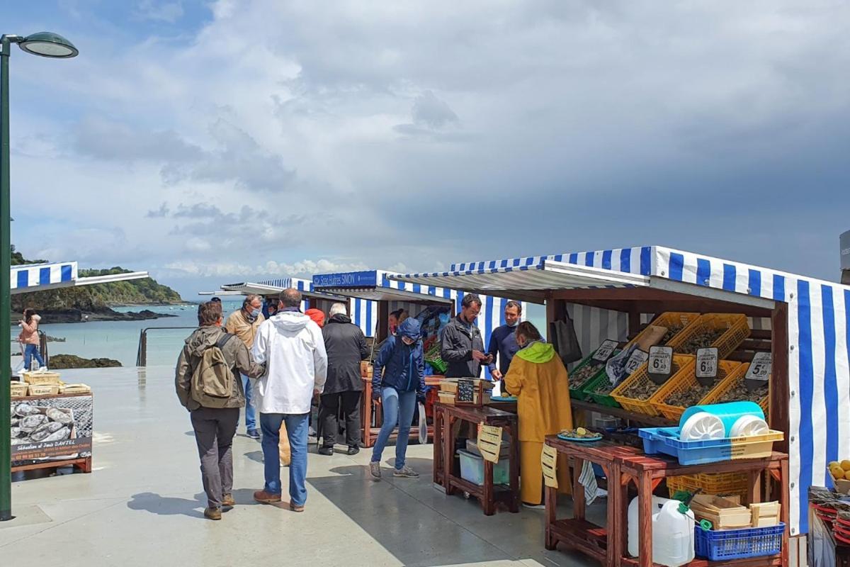 Lostra 2 - Appartement Avec Mezzanine, Front De Mer A Cancale Sur Le Port De La Houle Exteriér fotografie